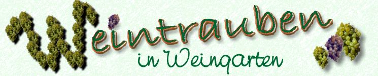 Wein in Grossweingarten
